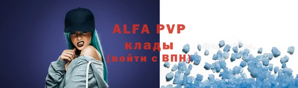 apvp Вяземский
