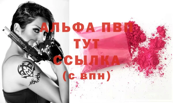apvp Вяземский