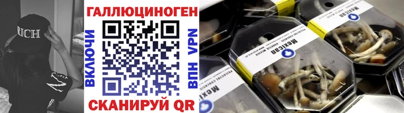 Псилоцибиновые грибы мицелий  Поворино 
