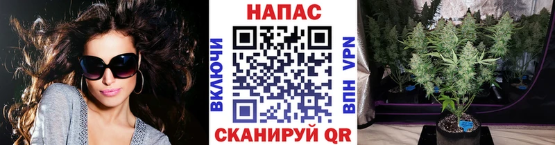 МАРИХУАНА конопля Поворино